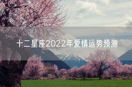 十二星座2022年爱情运势预测(图1)