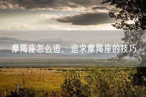 摩羯座怎么追，追求摩羯座的技巧(图1)