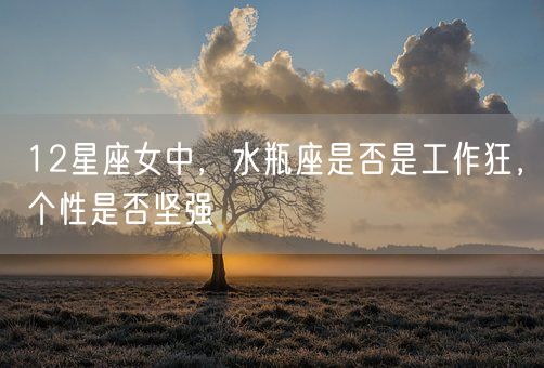 12星座女中，水瓶座是否是工作狂，个性是否坚强(图1)