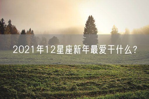 2021年12星座新年最爱干什么？(图1)