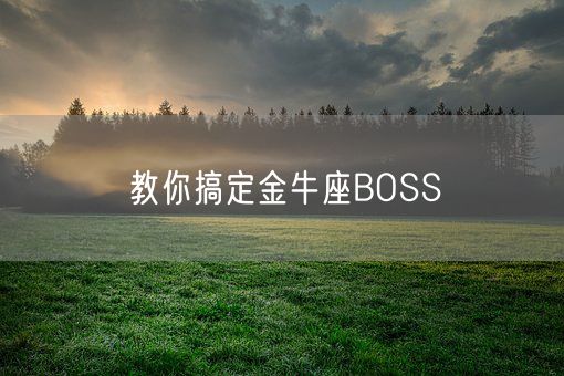 教你搞定金牛座BOSS(图1)