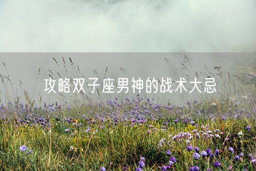 攻略双子座男神的战术大忌(图1)