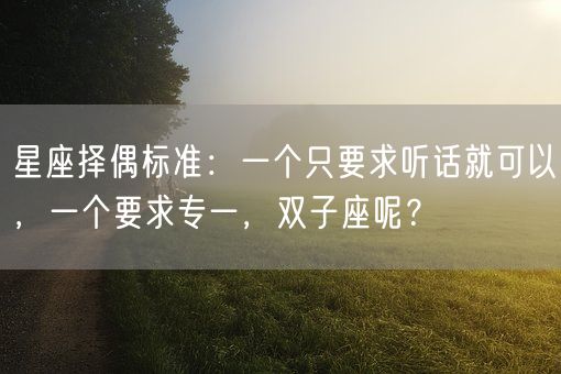 星座择偶标准：一个只要求听话就可以，一个要求专一，双子座呢？(图1)