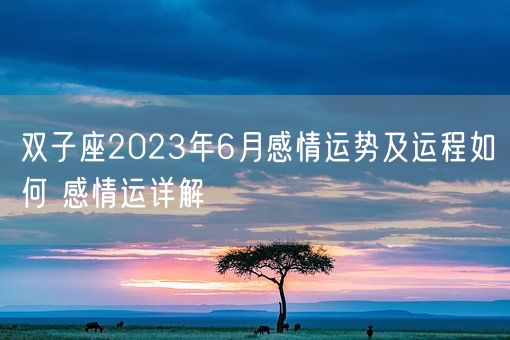 双子座2023年6月感情运势及运程如何 感情运详解(图1)