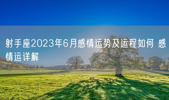 射手座2023年6月感情运势及运程如何 感情运详解(图1)