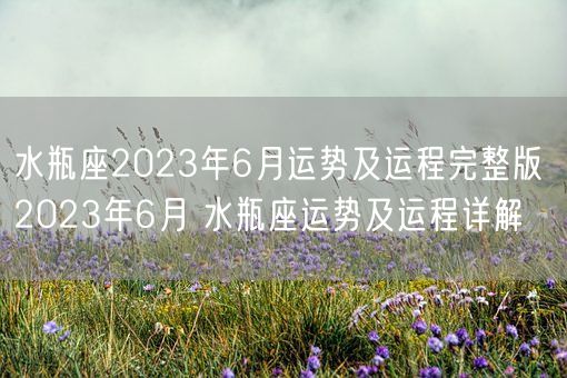 水瓶座2023年6月运势及运程完整版 2023年6月 水瓶座运势及运程详解(图1)