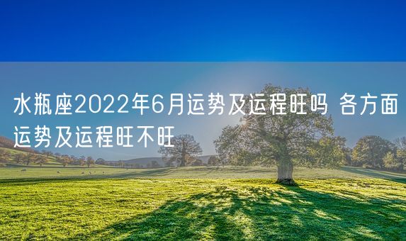 水瓶座2022年6月运势及运程旺吗 各方面运势及运程旺不旺(图1)