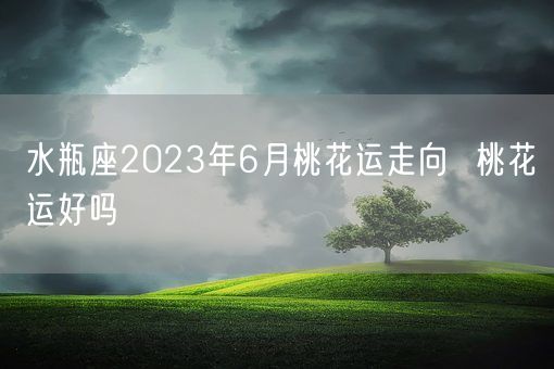 水瓶座2023年6月桃花运走向  桃花运好吗(图1)