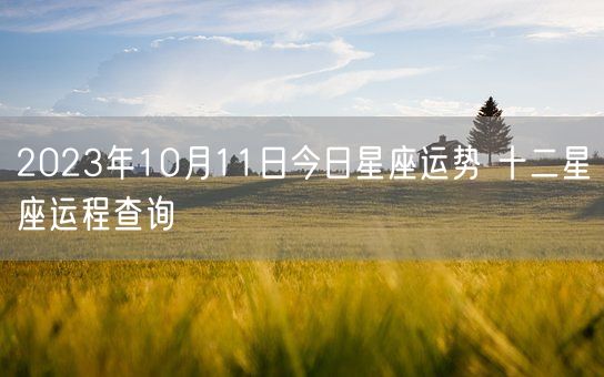 2023年10月11日今日星座运势 十二星座运程查询(图1)