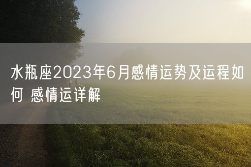 水瓶座2023年6月感情运势及运程如何 感情运详解(图1)