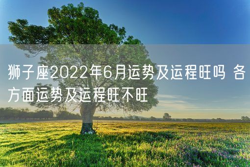 狮子座2022年6月运势及运程旺吗 各方面运势及运程旺不旺(图1)