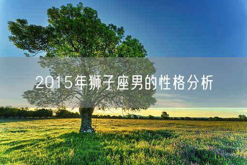 2015年狮子座男的性格分析(图1)