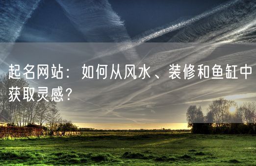 起名网站：如何从风水、装修和鱼缸中获取灵感？(图1)