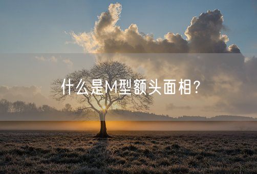 什么是M型额头面相？(图1)