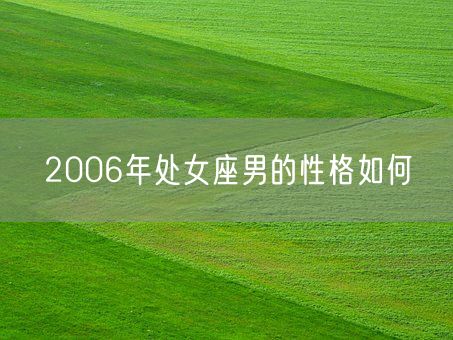 2006年处女座男的性格如何(图1)