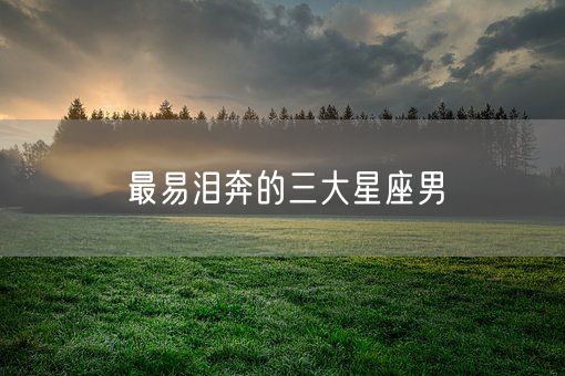 最易泪奔的三大星座男(图1) 最易泪奔的三大星座男(图1)