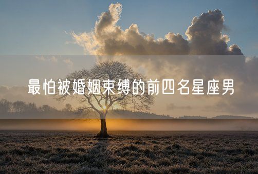 最怕被婚姻束缚的前四名星座男(图1) 最怕被婚姻束缚的前四名星座男(图1)