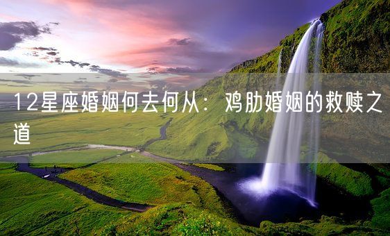 12星座婚姻何去何从：鸡肋婚姻的救赎之道(图1)