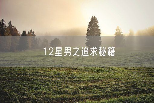 12星男之追求秘籍(图1) 12星男之追求秘籍(图1)