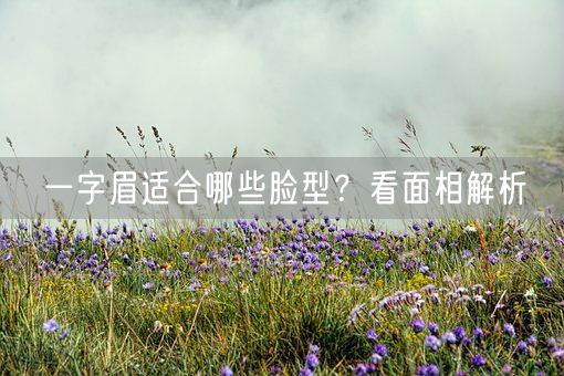 一字眉适合哪些脸型？看面相解析(图1)