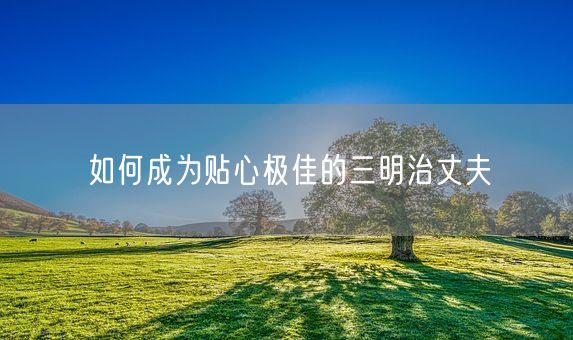 如何成为贴心极佳的三明治丈夫(图1)