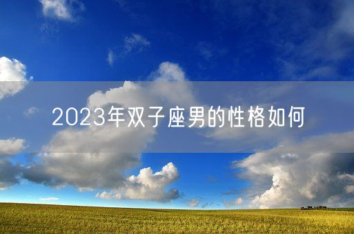 2023年双子座男的性格如何(图1)