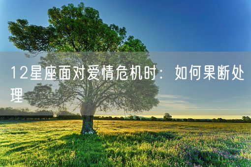 12星座面对爱情危机时:如何果断处理(图1) 12星座面对爱情危机时:如何果断处理(图1)