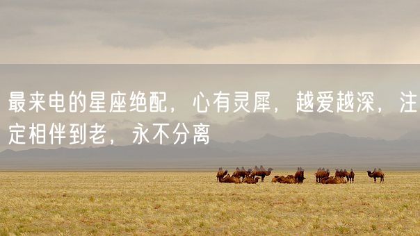 最来电的星座绝配,心有灵犀,越爱越深,注定相伴到老,永不分离(图1) 最来电的星座绝配,心有灵犀,越爱越深,注定相伴到老,永不分离(图1)