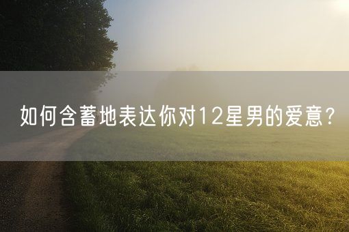 如何含蓄地表达你对12星男的爱意?(图1) 如何含蓄地表达你对12星男的爱意?(图1)