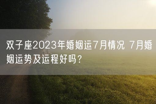 双子座2023年婚姻运7月情况 7月婚姻运势及运程好吗？(图1)