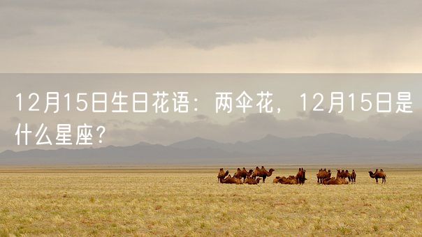 12月15日生日花语：两伞花，12月15日是什么星座？(图1)