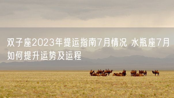 双子座2023年提运指南7月情况 水瓶座7月如何提升运势及运程(图1)