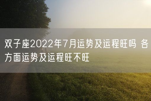 双子座2022年7月运势及运程旺吗 各方面运势及运程旺不旺(图1)