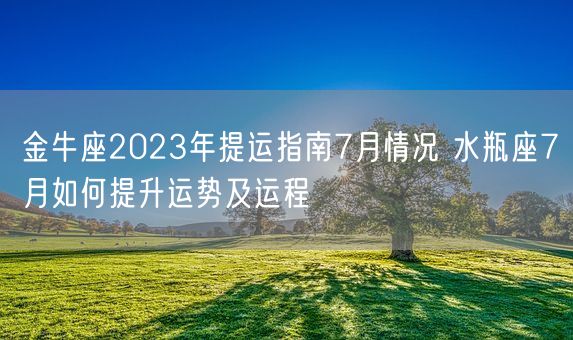 金牛座2023年提运指南7月情况 水瓶座7月如何提升运势及运程(图1)