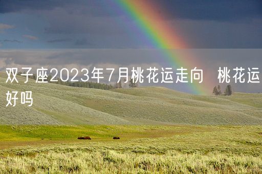 双子座2023年7月桃花运走向  桃花运好吗(图1)