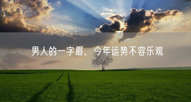 男人的一字眉，今年运势不容乐观(图1)