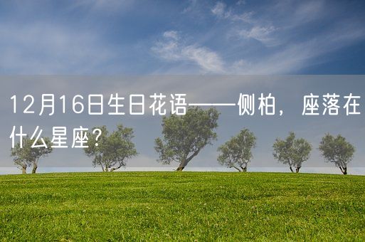 12月16日生日花语——侧柏，座落在什么星座？(图1)
