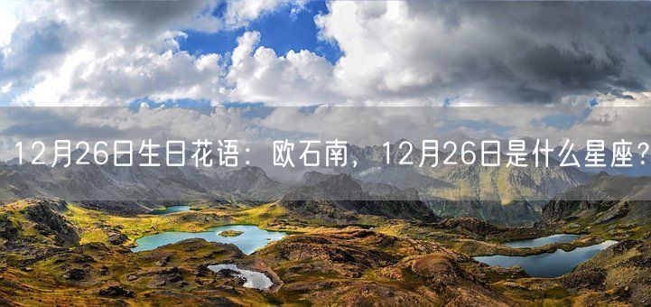 12月26日生日花语：欧石南，12月26日是什么星座？(图1)