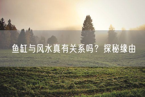 鱼缸与风水真有关系吗？探秘缘由(图1)