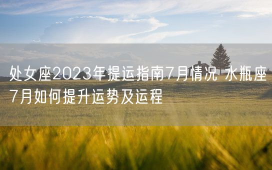 处女座2023年提运指南7月情况 水瓶座7月如何提升运势及运程(图1)