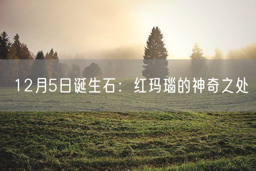 12月5日诞生石：红玛瑙的神奇之处(图1)