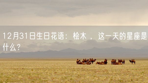 12月31日生日花语：桧木 ，这一天的星座是什么？(图1)