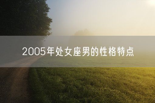 2005年处女座男的性格特点(图1)