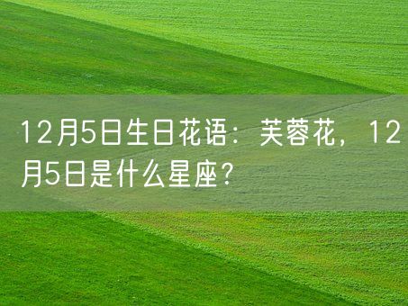 12月5日生日花语：芙蓉花，12月5日是什么星座？(图1)