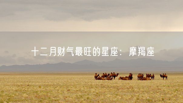 十二月财气最旺的星座：摩羯座(图1)