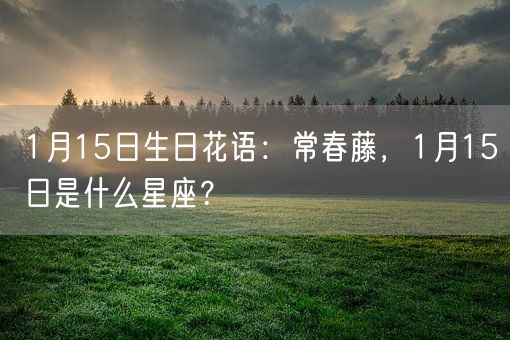 1月15日生日花语：常春藤，1月15日是什么星座？(图1)