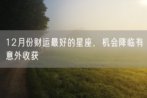 12月份财运最好的星座，机会降临有意外收获(图1)