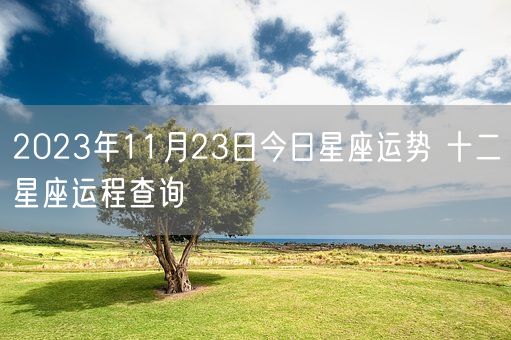 2023年11月23日今日星座运势 十二星座运程查询(图1)