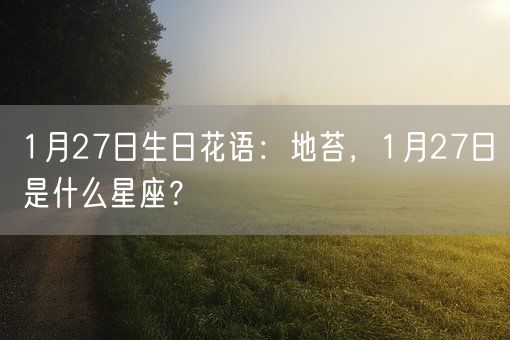 1月27日生日花语：地苔，1月27日是什么星座？(图1)