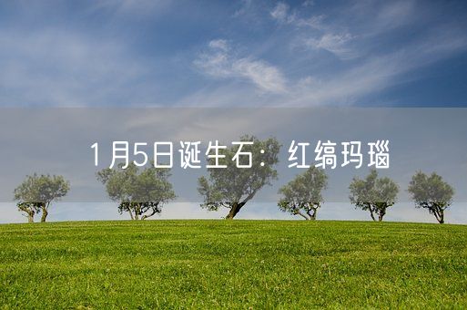 1月5日诞生石：红缟玛瑙(图1)